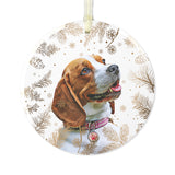 Personalized Pet Wintry Ornament