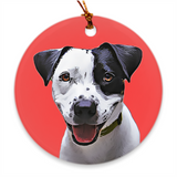 Personalized Ceramic Pet Ornament