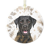 Personalized Pet Wintry Ornament