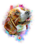 Personalized Pet Portrait Prints - Neon Color Style