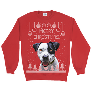 Personalized Ugly Xmas Pet Sweatshirt