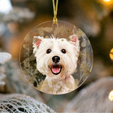 Personalized Pet Wintry Ornament