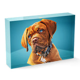 Personalized Pet Acrylic Block - Color