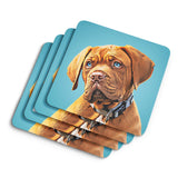 Personalized Dog Coasters - pack of 4