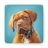 Personalized Pet Porcelain Magnet