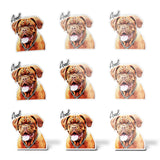 Personalized Pet Kiss Cut Stickers