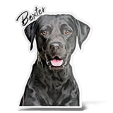 Personalized Pet Kiss-Cut Magnets