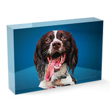 Personalized Pet Acrylic Block - Color