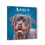 Personalized Pet Portrait Acrylic Prints - Square