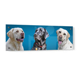 Personalized Pet Portrait Acrylic Prints - Panorama