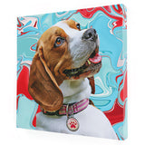 Personalized Pet Square Canvas - Color Swirl