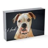 Personalized Pet Acrylic Block - Color