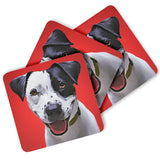 Personalized Dog Coasters - pack of 4