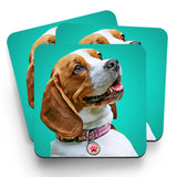 Personalized Dog Coasters - pack of 4