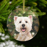 Personalized Pet Wintry Ornament