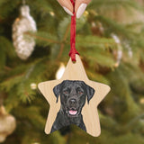 Personalized Wooden Pet Ornament