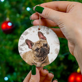 Personalized Pet Wintry Ornament