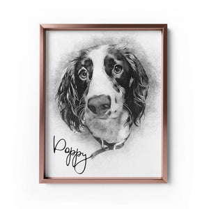 Personalized Pet Drawing Style Portrait Prints - Metal Frame