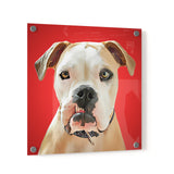 Personalized Pet Portrait Acrylic Prints - Square