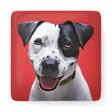 Personalized Pet Porcelain Magnet