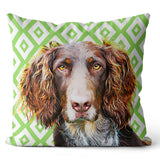 Personalized Pet Portrait Pillow with Retro Pattern