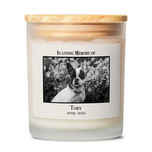 Personalized Pet Memorial - Frosted Glass Candle