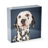 Personalized Pet Acrylic Block - Color