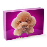 Personalized Pet Acrylic Block - Color