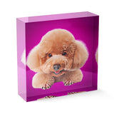 Personalized Pet Acrylic Block - Color