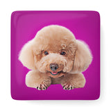 Personalized Pet Porcelain Magnet