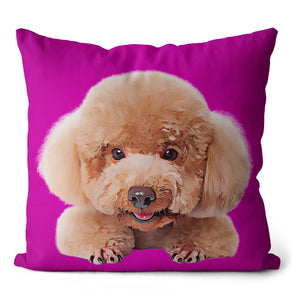 Personalized Pet Portrait Pillow