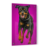 Personalized Pet Portrait Acrylic Prints