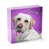 Personalized Pet Acrylic Block - Color