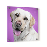 Personalized Pet Portrait Acrylic Prints - Square