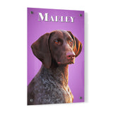 Personalized Pet Portrait Acrylic Prints