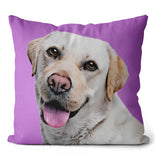 Personalized Pet Portrait Pillow