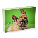 Personalized Pet Acrylic Block - Color