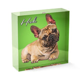 Personalized Pet Acrylic Block - Color