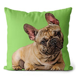 Personalized Pet Portrait Pillow