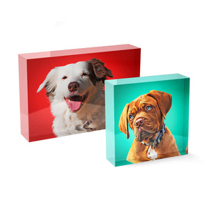 Personalized Pet Acrylic Block - Color