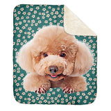 Personalized Pet Sherpa Blanket - Meadow