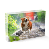 Personalized Pet Acrylic Block - Photo