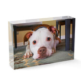 Personalized Pet Acrylic Block - Photo