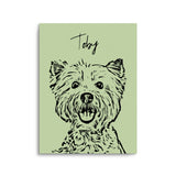 Personalized Minimalistic Pet Portrait Prints