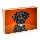 Personalized Pet Acrylic Block - Color