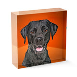 Personalized Pet Acrylic Block - Color