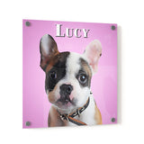 Personalized Pet Portrait Acrylic Prints - Square