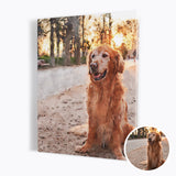 Personalized Pet Portrait from Photo Canvas