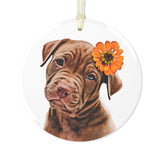 Personalized Pet Glass Ornament