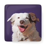 Personalized Pet Porcelain Magnet